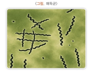 [출처=질병관리청 국가건강정보포털]