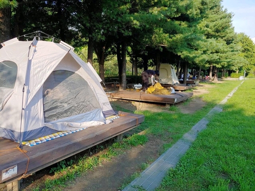 도심 숲에서 1박2일…성동 서울숲 여름 캠핑장