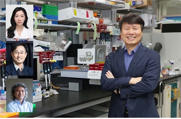 KAIST·IBS 공동 연구팀