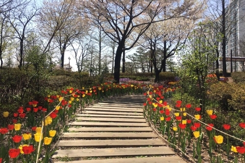 인천 동구, 송현공원에서 따뜻한 봄을 만끽하세요 - 1