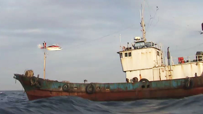 잡을 만큼 잡았다?…중국 어선 줄줄이 회항 이유는