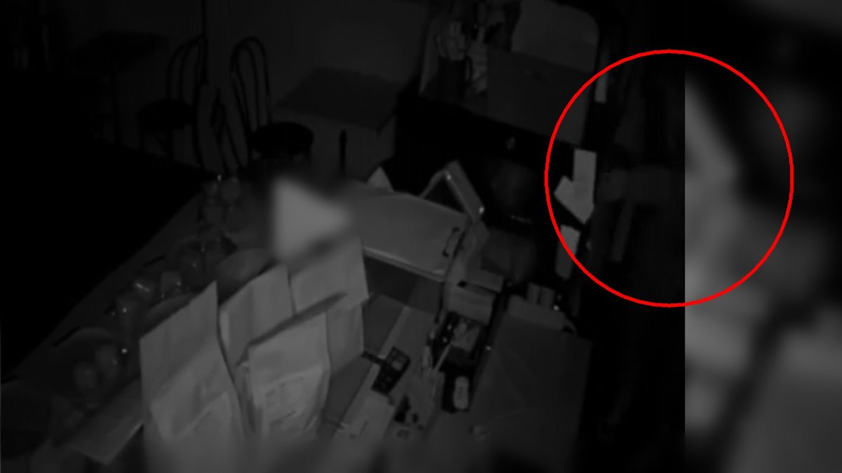 빵 훔쳐먹다 CCTV에…'용산 장발장' 검거