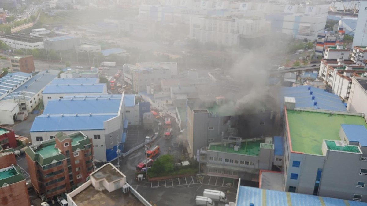 부산 수산물 가공공장서 불…직원 1명 사망