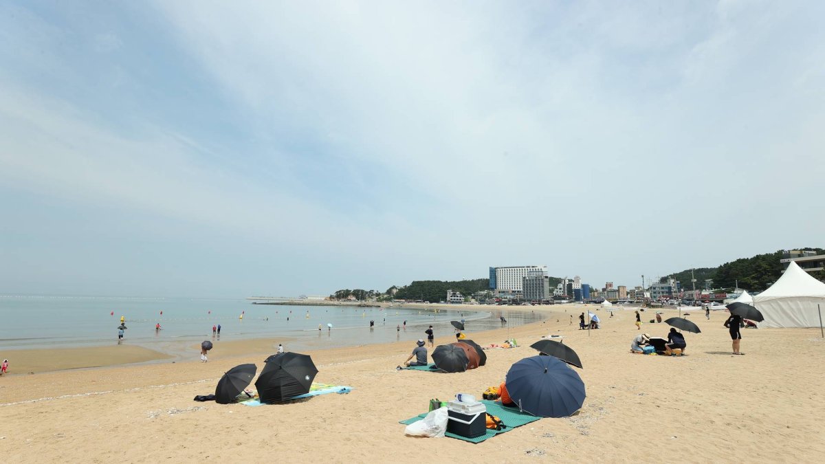 문 닫은 해수욕장 문전성시…"마스크 꼭"