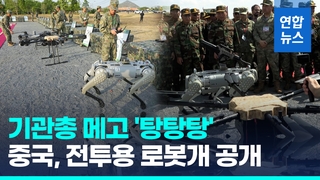  기관총 메고 '탕탕탕'…중국, 합동훈련서 전투용 '로봇 개' 공개