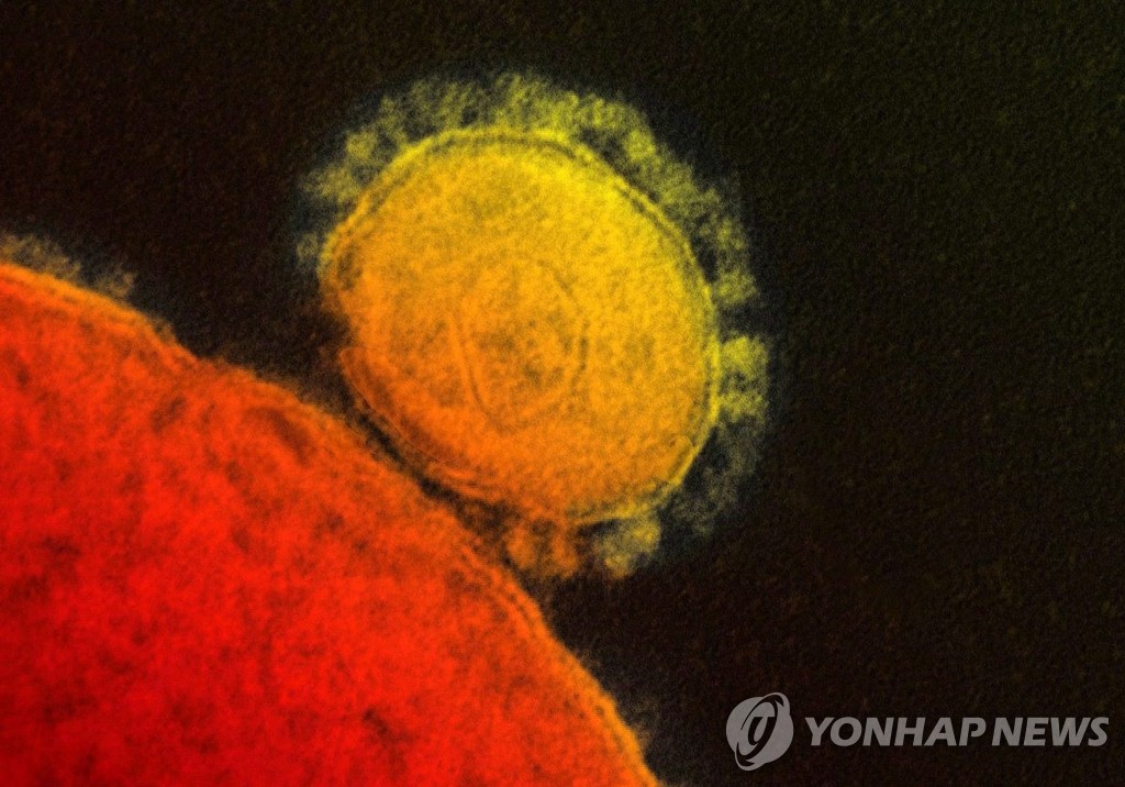 메르스 코로나 바이러스 (AP=연합뉴스)