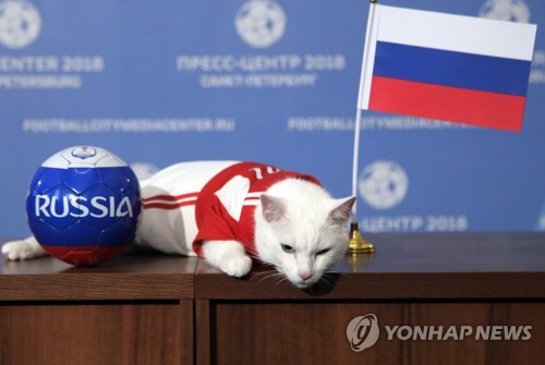 점쟁이 고양이 아킬레스