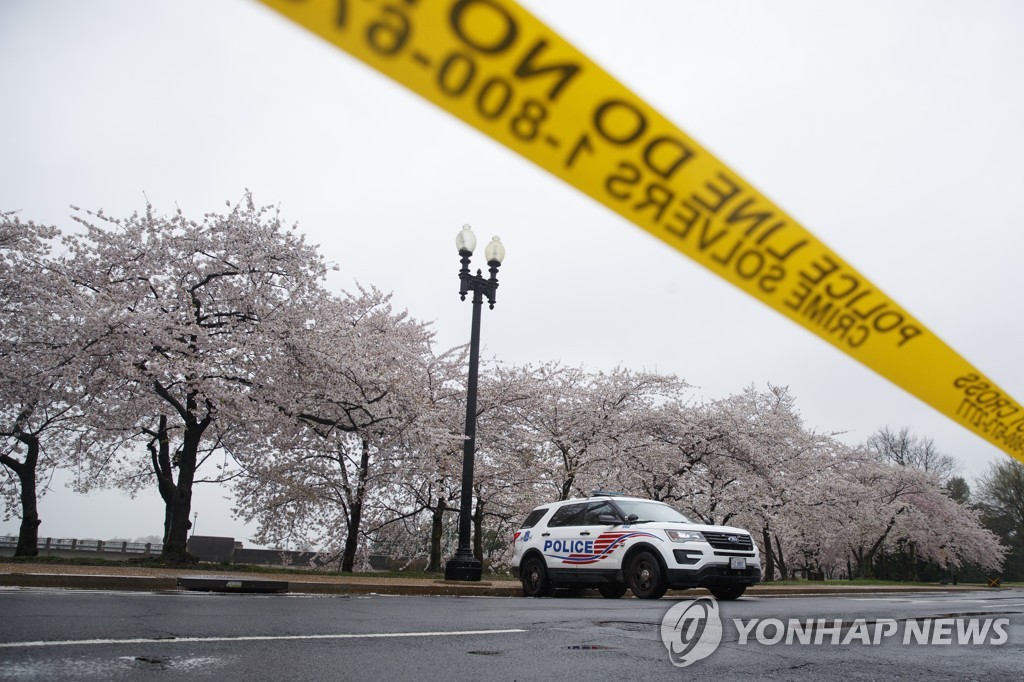 워싱턴 벚꽃 거리 통제하는 미국 경찰