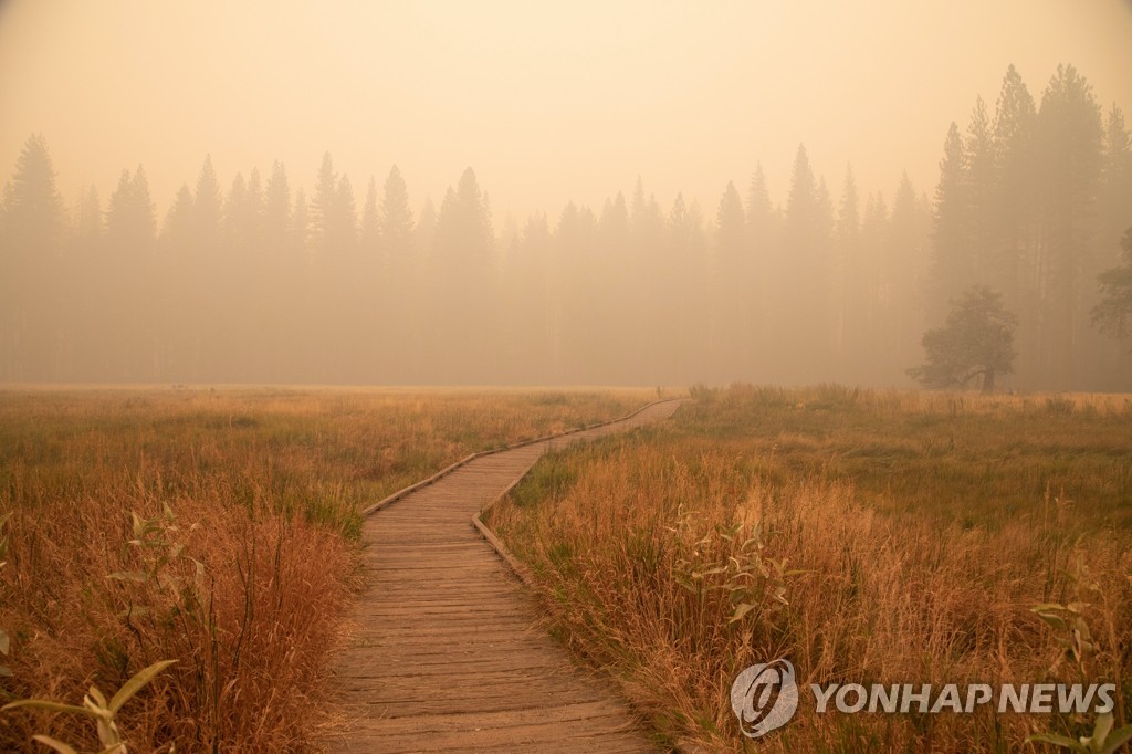 Western Wildfires