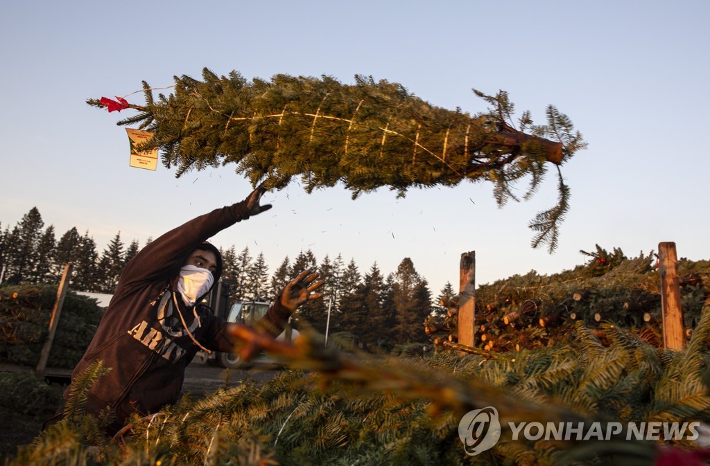 Virus Outbreak Christmas Trees