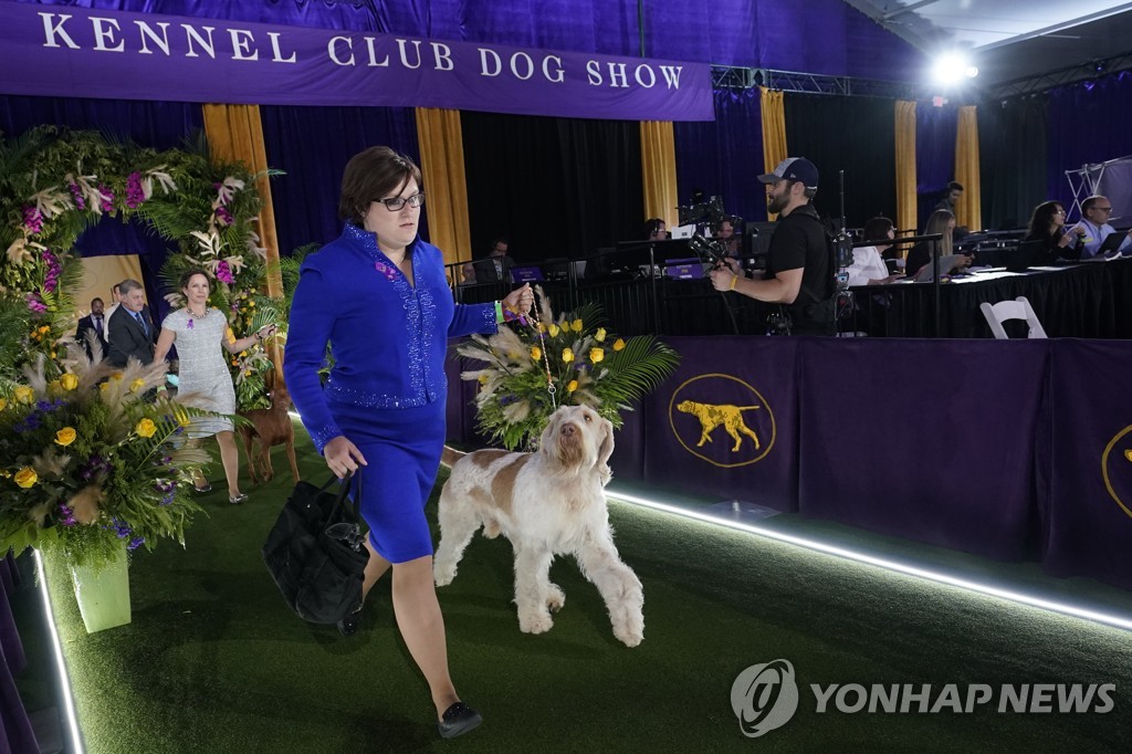 Westminster Dog Show