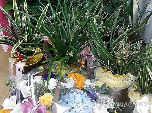 당선 축하 난