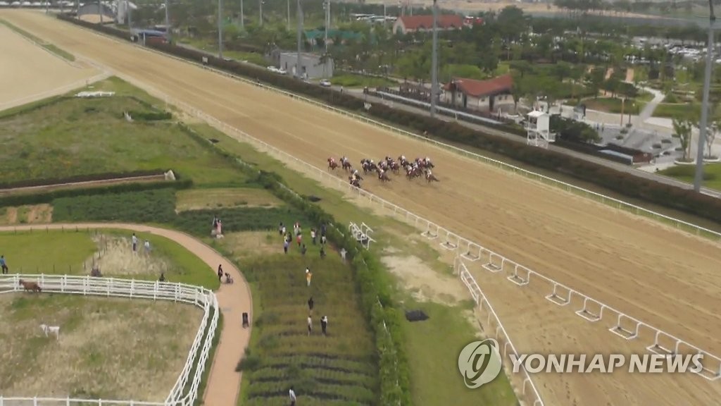 부산 민주노총 "마사회 고용구조 불합리, 근로감독 나서야" - 1