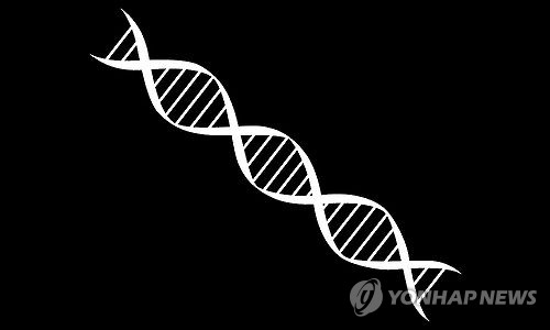 유전자 DNA(일러스트)