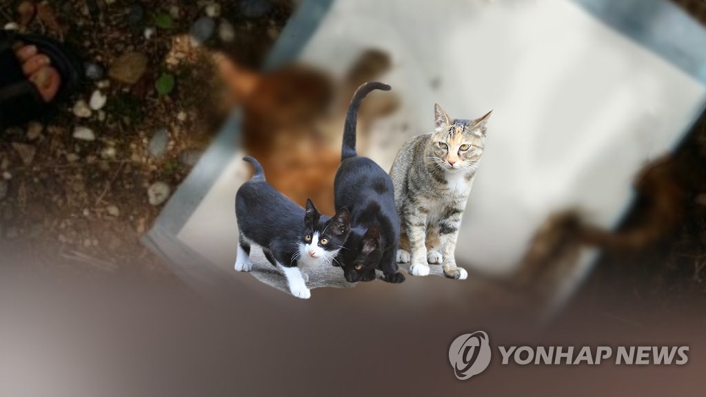 멈추지 않는 동물학대(CG)