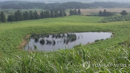 제주 초지지대인 어림비 벵듸