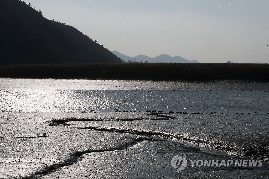 순천만 갯벌