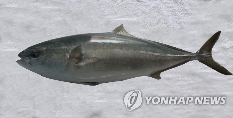 방어