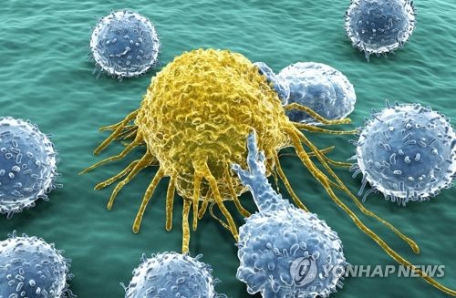 암세포와 림프구