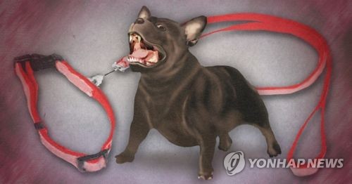 목줄 안 한 반려견 주민 공격(PG)