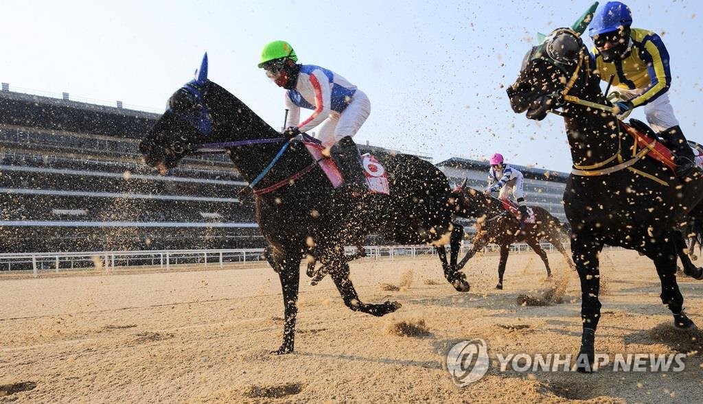 경마