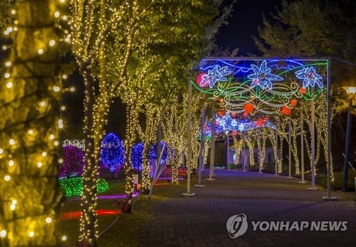 빛 축제 전경