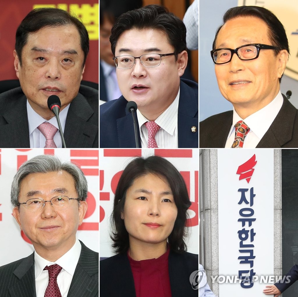 자유한국당 비상대책위원장 후보