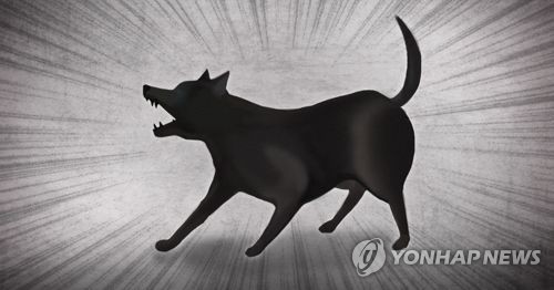  대전 동구 개농장서 맹견 70마리 탈출…주민 대피령