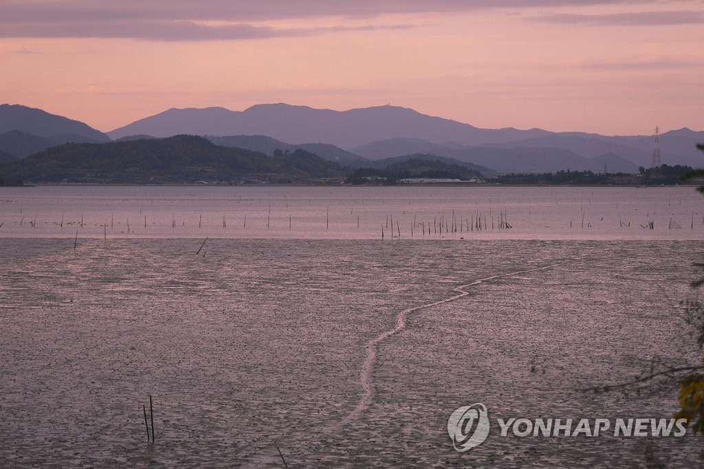 보성 장도 갯벌