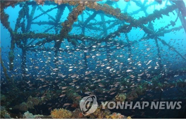 인공어초