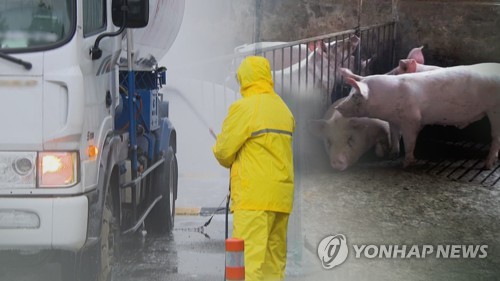 돼지열병 바이러스 소독 작업 (CG)