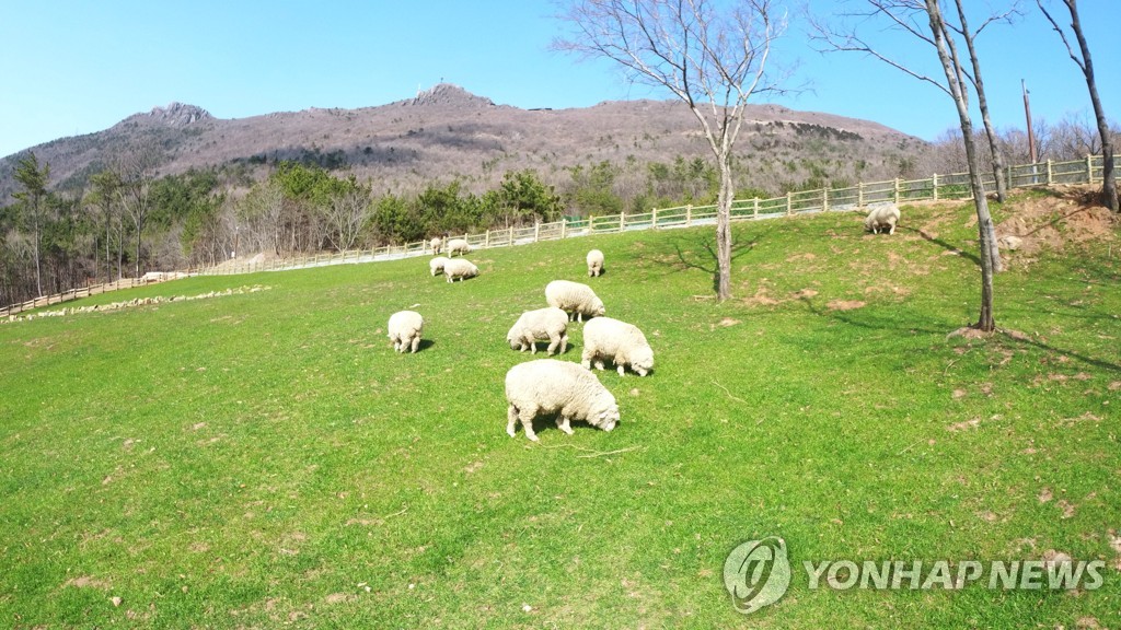 경남 거제 숲소리공원 전경