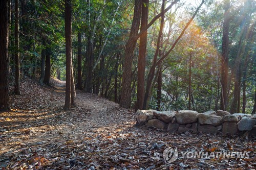 '땅끝 봄기운 가득'…해남 달마고도서 내달 23일 힐링축제