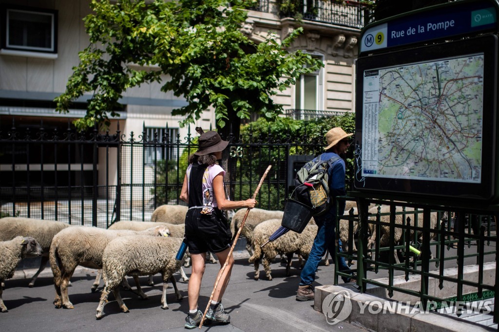 FRANCE-FARMING-AGRICULTURE-CITY-SHEEP