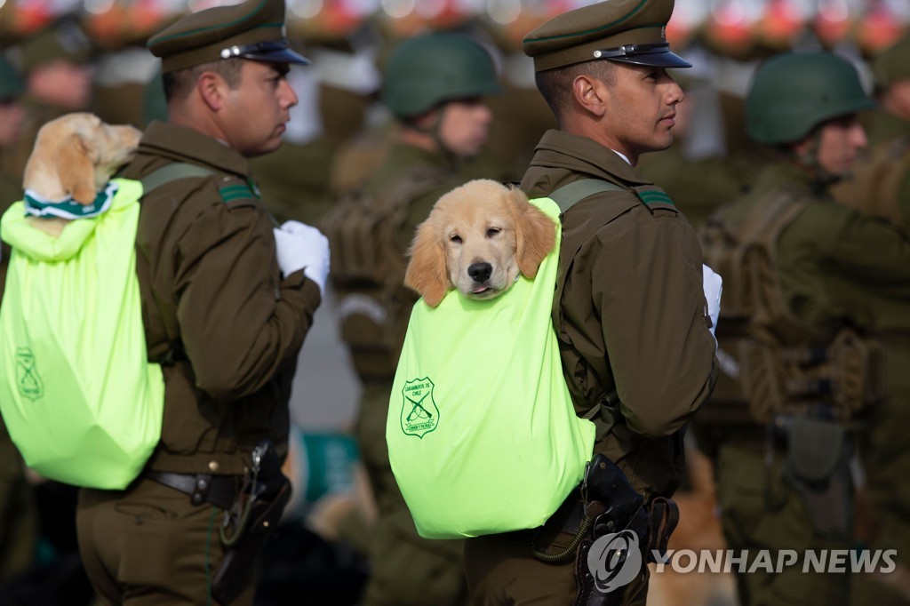 CHILE-INDEPENDENCE-DAY-PARADE