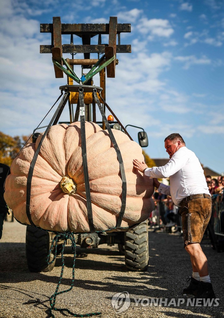 GERMANY-BELGIUM-PUMPKIN-CONTEST