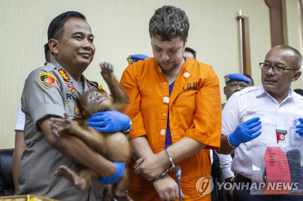 INDONESIA ORANGUTAN SMUGGLING