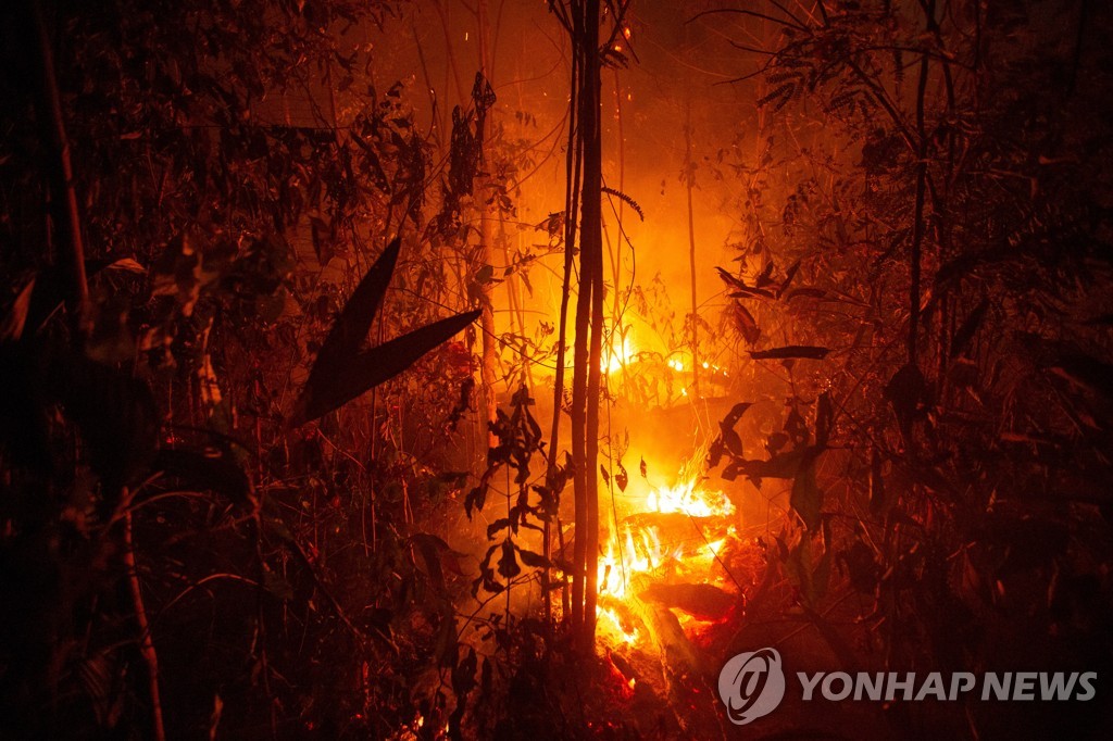epaselect BRASIL AMAZON FIRES