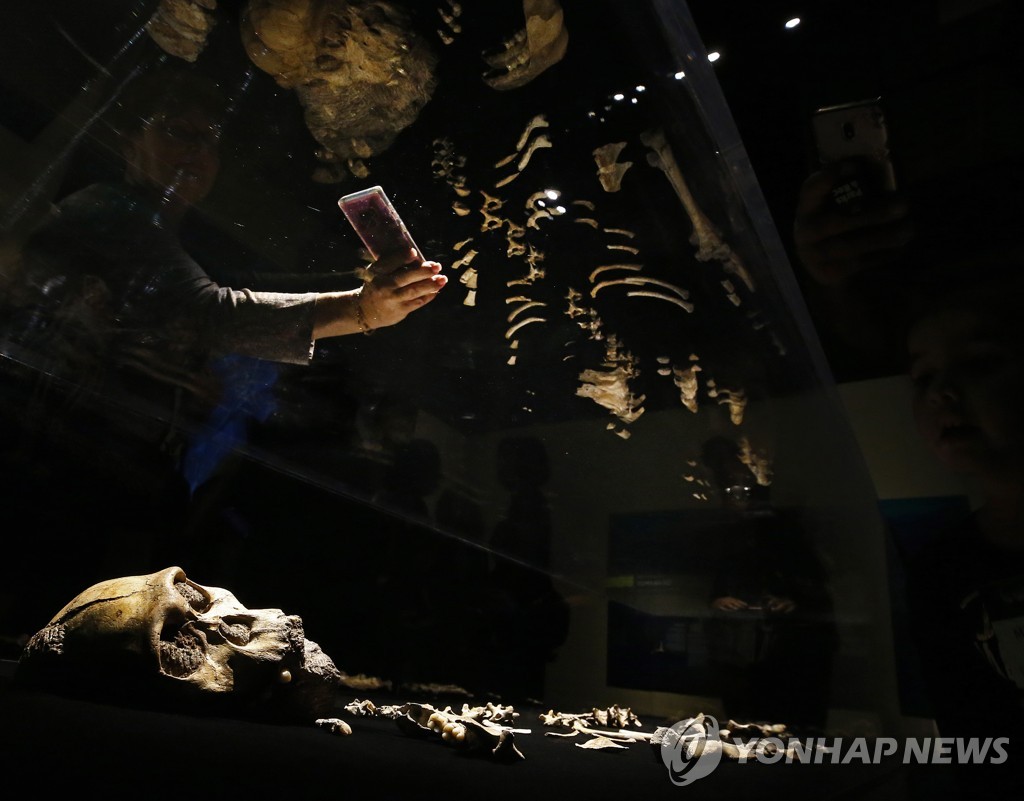 USA PEROT MUSEUM EXHIBIT ORIGINS FOSSILS FROM THE CRADLE OF HUMA