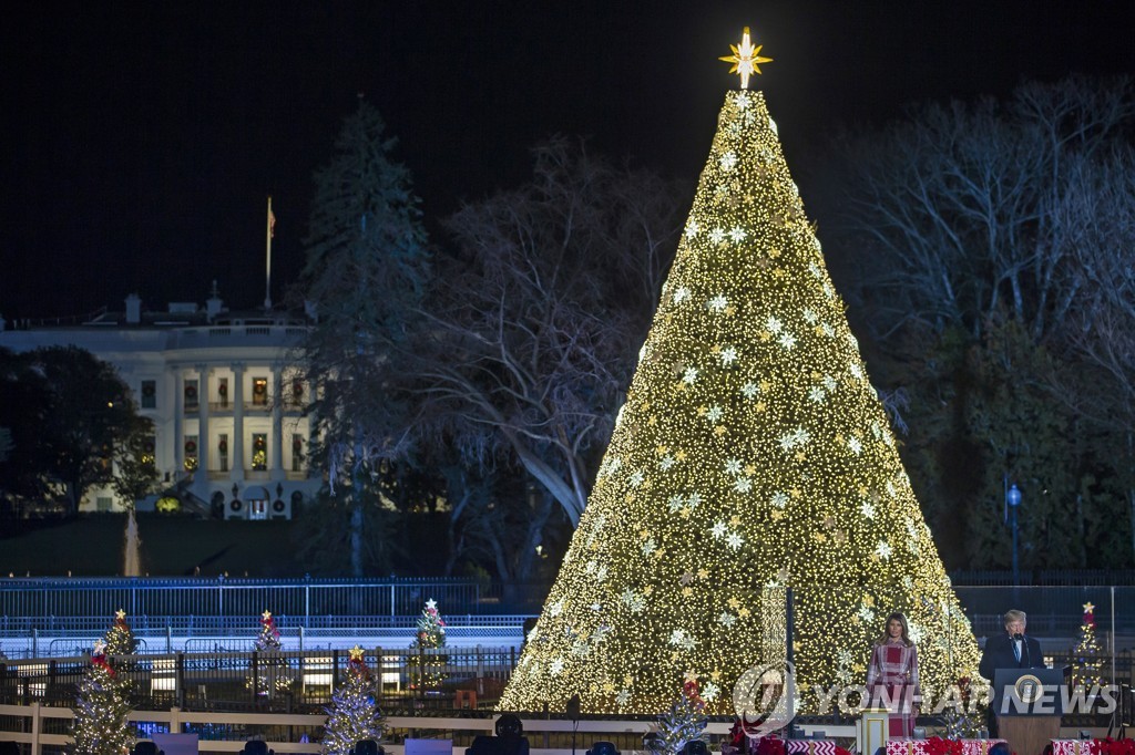 백악관 앞에 설치된 크리스마스 트리
