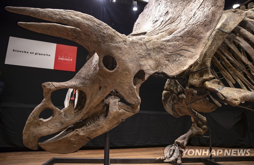 FRANCE ARCHEOLOGY AUCTION DINOSAUR