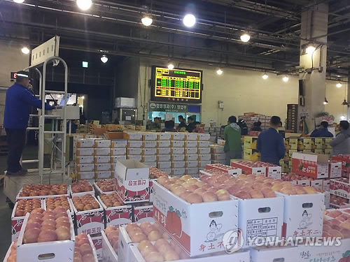 원주 농산물도매시장 매출 600억원대 달성