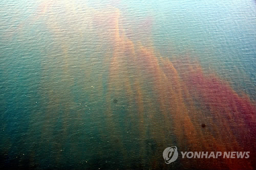 '적조 유입 2주전 예보' 시범사업 내달 실시 - 1
