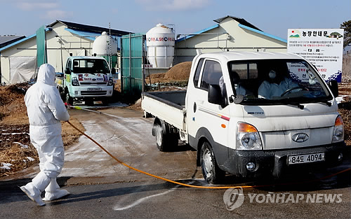 오리 살처분 농장 방역