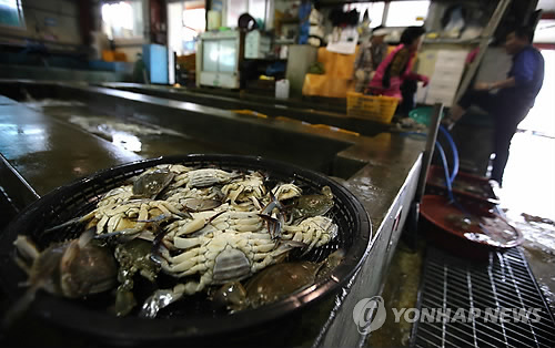지난 5월 전남 진도군 임회면 서망항 수협 직판장이 세월호 침몰 사고 후 평소보다 한산한 모습을 보이고 있다. (연합뉴스 자료사진)