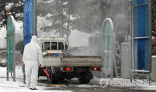 방역당국, 7일 구제역 일제소독…축산차량 전면통제(종합) - 2
