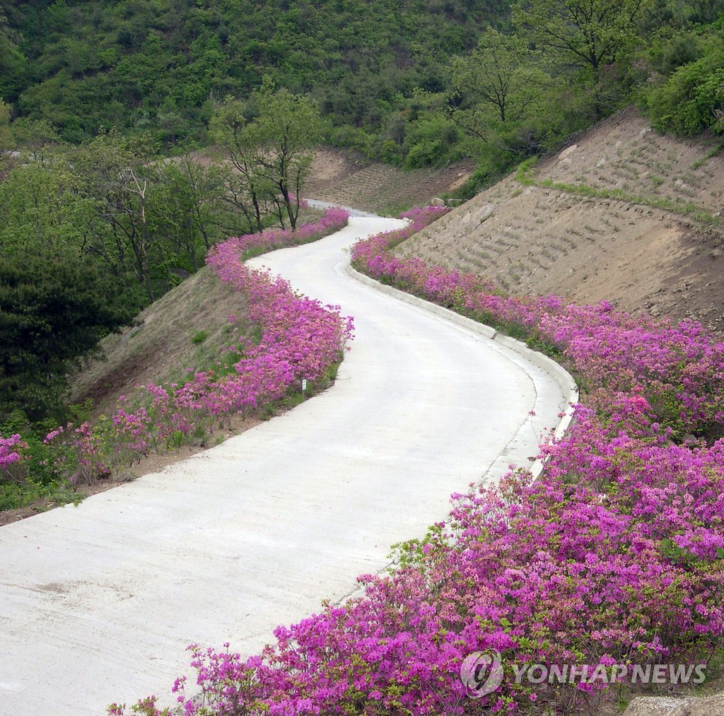 설 명절에 임도 개방(연합뉴스 자료사진)