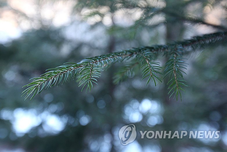 "귀경길 휴양림 들렀다 가실게요"