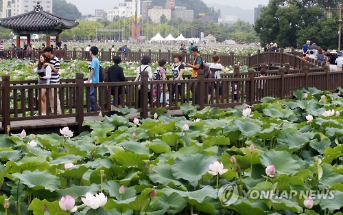 "연꽃 구경 오세요"