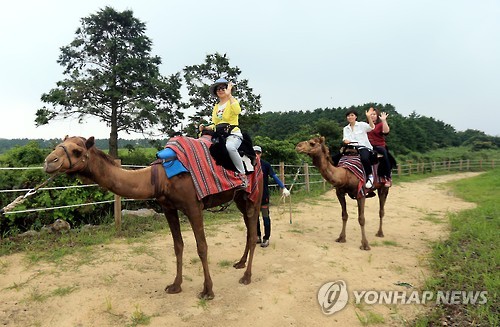 즐거운 낙타 타기 체험
